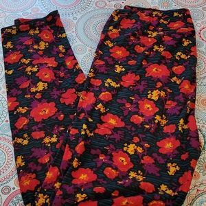 LulaRoe Tall & CURVY Poppy Flower Leggings